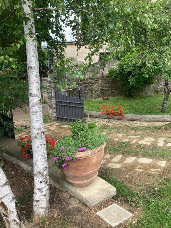 Willa “Da Paolino” Borgo alla Collina Zewnętrze zdjęcie