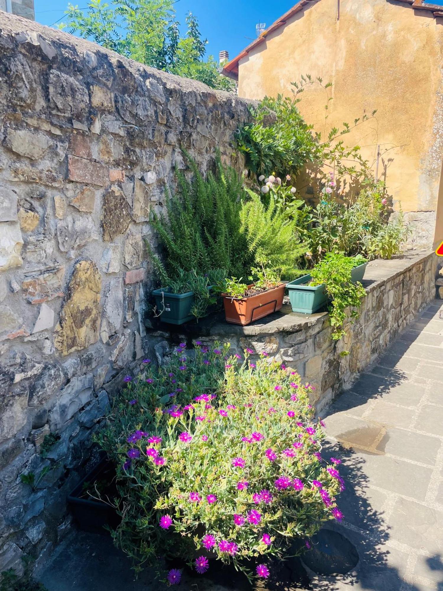 Willa “Da Paolino” Borgo alla Collina Zewnętrze zdjęcie
